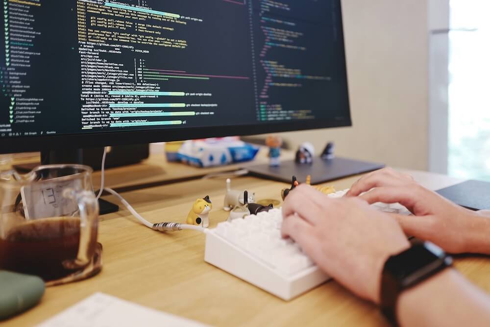 Hosting services for website launch, speed, security, backups, DNS, and growth support