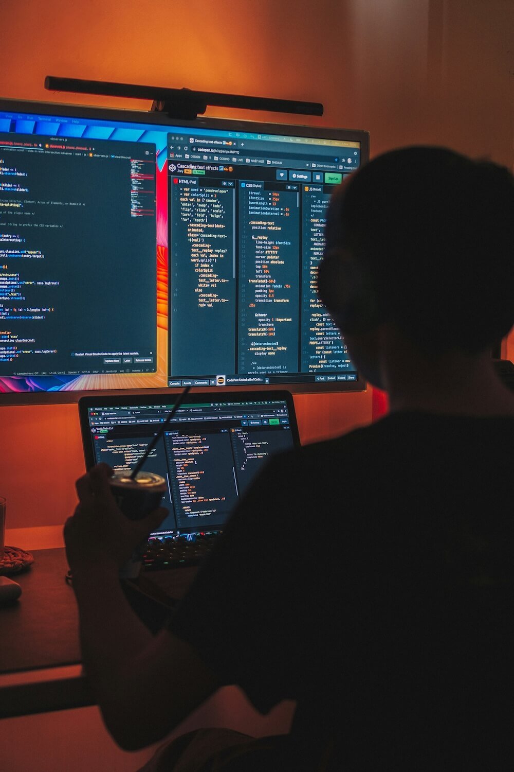 Specialist reviewing website code for backup, rollback, and recovery planning